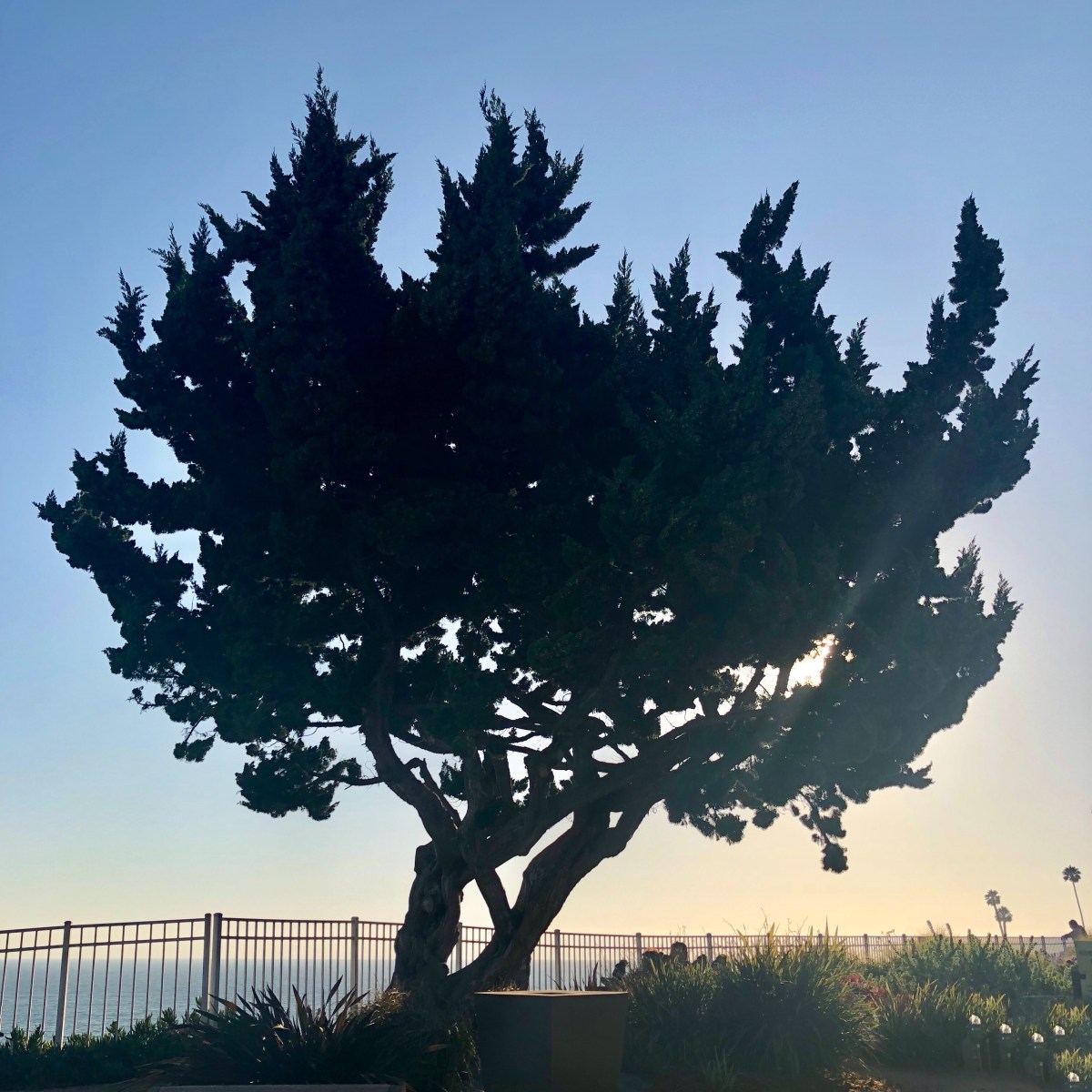 late night electro indie&nbsp;vol.4