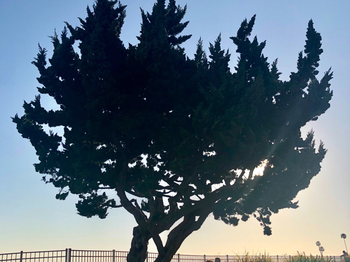 late night electro indie&nbsp;vol.4