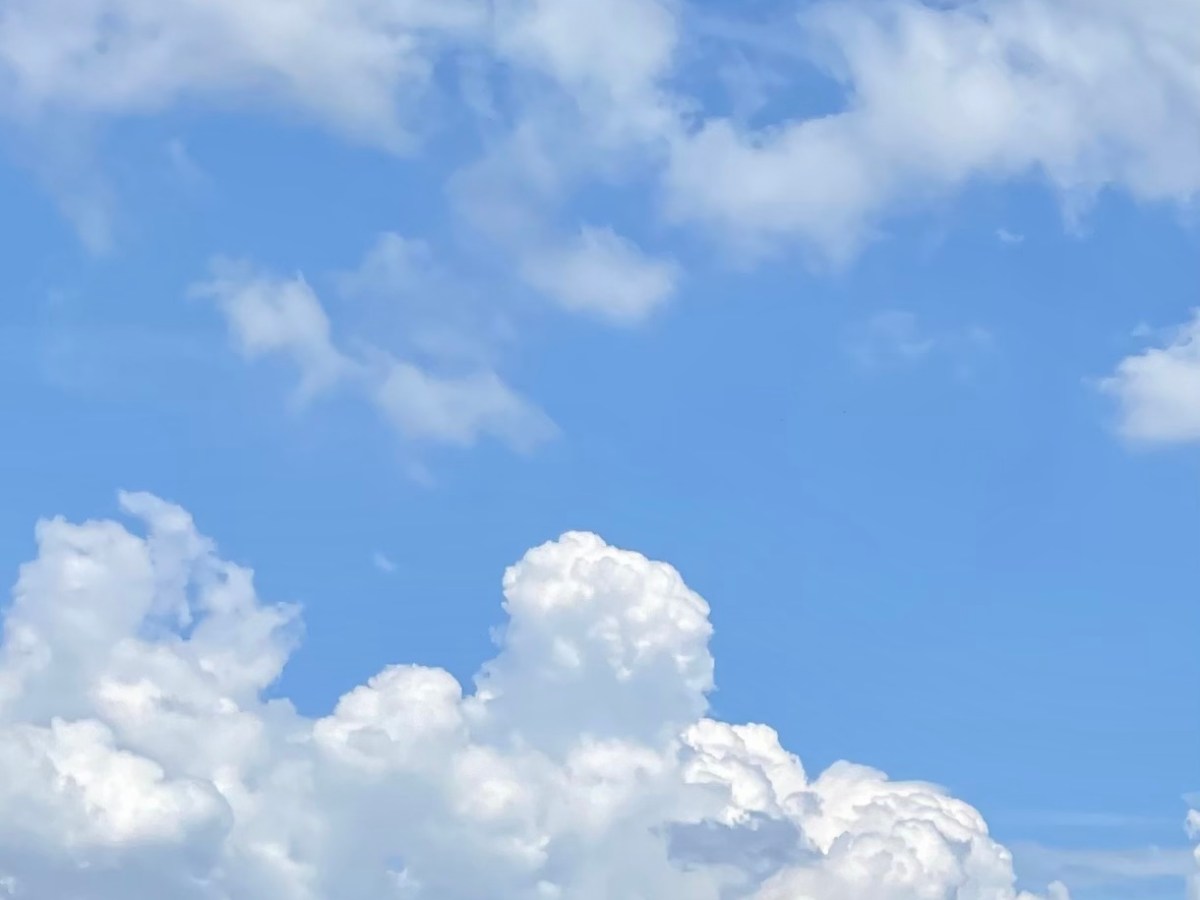 2021: a year of (unplanned)&nbsp;change